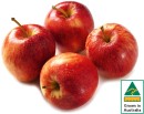 Australian-Royal-Gala-Apples Sale