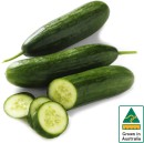 Australian-Lebanese-Cucumber Sale