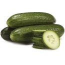 Australian-Lebanese-Cucumbers Sale