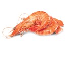 Thawed-Medium-Australian-Cooked-Tiger-Prawns Sale