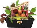 Heirloom-Beetroot-Mix Sale