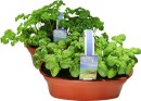 5L-Herb-Trough Sale