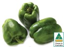 Australian-Green-Capsicum Sale