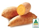 Australian-Gold-Sweet-Potatoes Sale