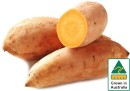 Australian-Gold-Sweet-Potatoes Sale