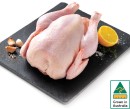 Australian-Fresh-Free-Range-Whole-Chicken Sale