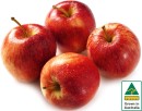 Australian-Royal-Gala-Apples Sale