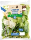 Community-Co-Caesar-Salad-Kit-290g Sale