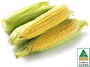 Australian-Corn-500g-Pack Sale