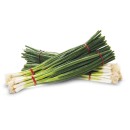 Australian-Spring-Onions Sale