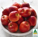 Australian-Royal-Gala-Apples Sale