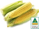 Australian-Corn-500g-Pack Sale