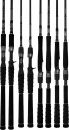 Daiwa-TD-Black-Rods Sale