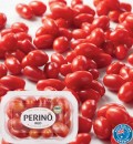 Coles-Australian-Red-Perino-Tomatoes-200g-Pack Sale