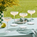 Briella-Coupe-Glass-Set-of-4-by-MUSE Sale