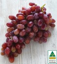 Australian-Red-Seedless-Grapes Sale