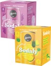 Remedy-Sodaly-4x250mL Sale