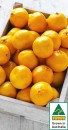 Australian-Imperial-Mandarins Sale