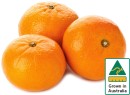 Australian-Imperial-Mandarins Sale