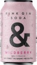Ampersand-Pink-Gin-Soda-4-Cans-330mL Sale
