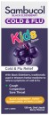 Sambucol-Cold-Flu-Relief-Kids-2-Years-Oral-Liquid-Berry-Flavour-120mL Sale