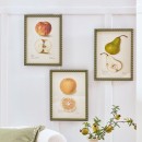 Grandmas-Fruit-Bowl-Wall-Art-by-MUSE Sale
