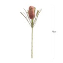 Artificial-Dried-Banksia-Stem-by-MUSE Sale