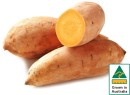Australian-Gold-Sweet-Potatoes Sale