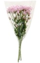 Chrysanthemum-Bunch Sale