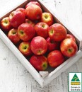 Australian-Pink-Lady-Apples Sale