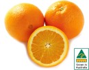 Australian-Navel-Oranges Sale