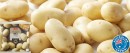 Coles-Australian-Washed-White-Potatoes-2kg-Bag Sale