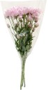 Chrysanthemum-Bunch Sale