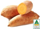Australian-Gold-Sweet-Potatoes Sale
