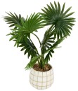 Artificial-Palm-in-Check-Pot Sale