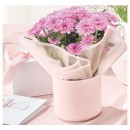 Potted-Chrysanthemum-includes-Pot Sale