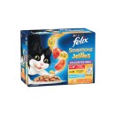 Felix-Wet-Cat-Food-Pk-12-x-85g Sale