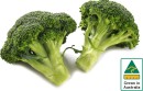 Australian-Broccoli Sale