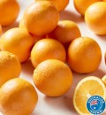 Australian-Navel-Oranges Sale