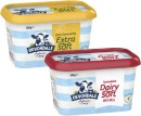 Devondale-Spreadable-Blend-500g Sale