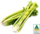 Australian-Celery-Bunch Sale