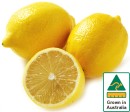 Australian-Lemons Sale