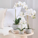 Artificial-Phalaenopsis-White-Orchid-in-Pot-by-MUSE Sale