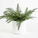 Artificial-Elly-Potted-Fern-Plant-by-MUSE Sale