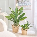 Alba-Wave-Stripe-Basket-by-Habitat Sale