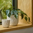 Vine-Natural-Cement-Decorative-Pot-by-Habitat Sale