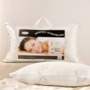Chipped-Memory-Foam-Pillow-by-Sensational Sale