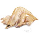 Thawed-Large-Australian-Green-Banana-Prawns Sale
