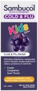 Sambucol-Cold-Flu-Relief-Kids-2-Years-Oral-Liquid-Berry-Flavour-120mL Sale
