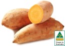 Australian-Gold-Sweet-Potatoes Sale